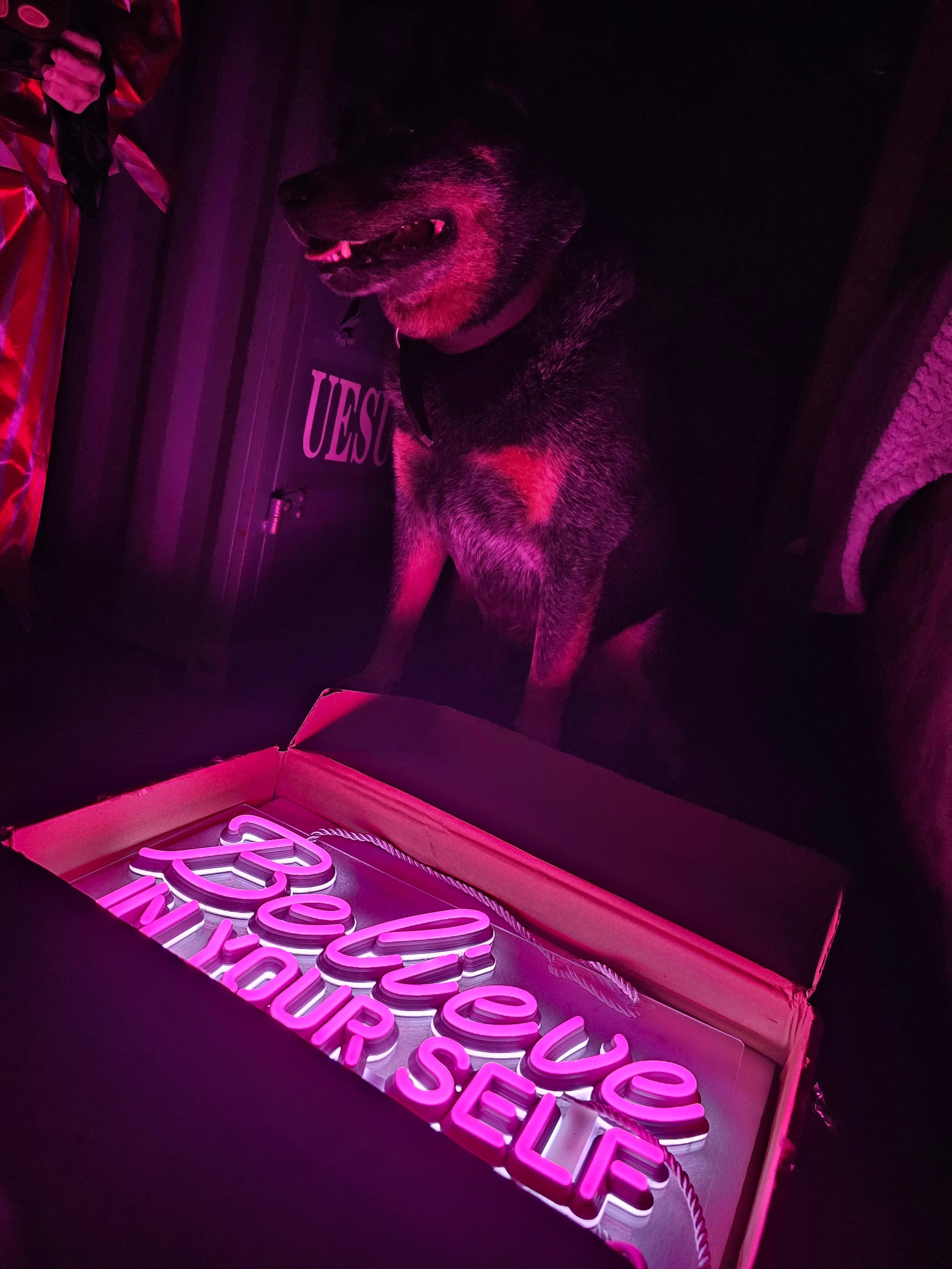 Believe in Yourself LED Neon 40cm